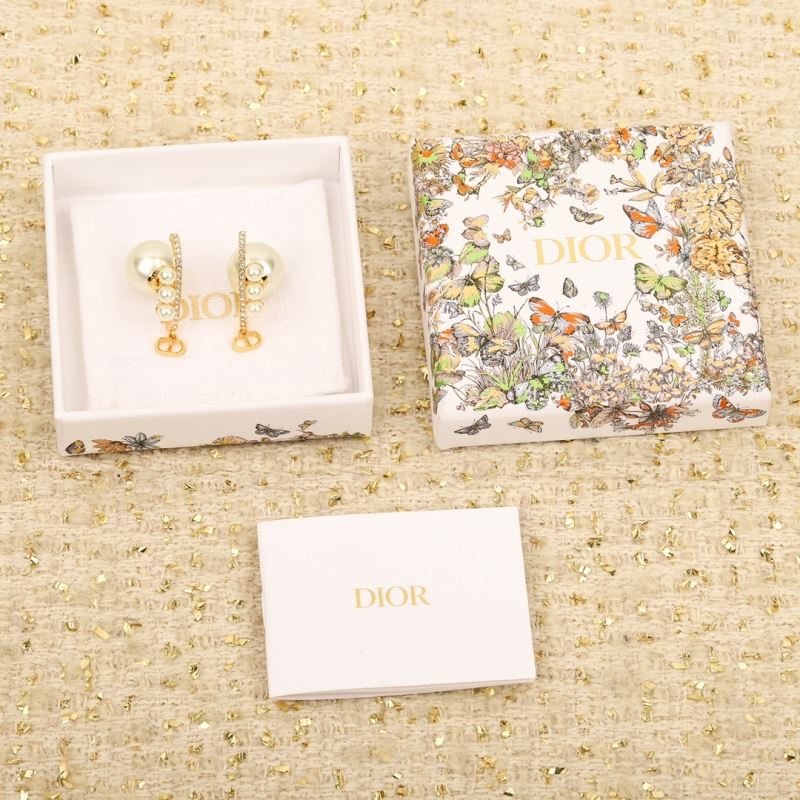 Christian Dior Earrings